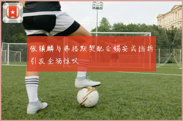 张镇麟与弗格默契配合锡安式挡拆引发全场惊叹