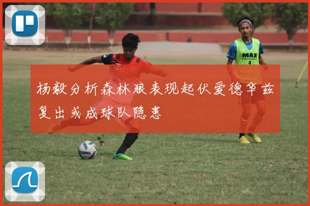 杨毅分析森林狼表现起伏爱德华兹复出或成球队隐患
